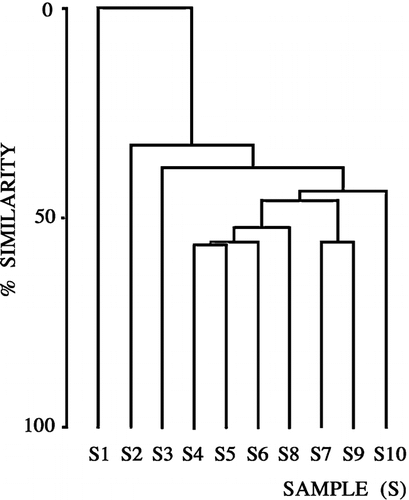 FIGURE 3.  Cluster analysis (Bray-Curtis, single linkage) of 10 samples of rhagidiid mites collected in 10 different localities (see Table 2)