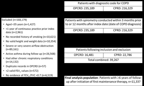 Figure 1 Patient selection flowchart.