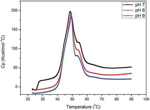 Figure 3. DSC endotherms of 10 mg/ml myosin in 0.6 M NaCl, 20 mM PBS, heated from 25 to 80ºC at 1ºC/min.Figura 3. Endotérmicos DSC de 10mg/ml de miosina en soluciones de 0.6M NaCl, 20mM PBS, calentadas de 25 a 80°C, a 1°C/min.