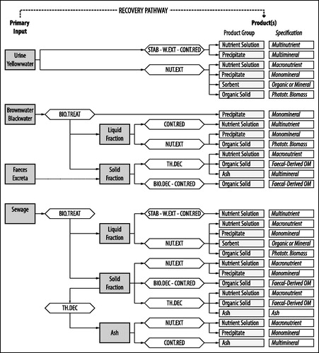 Figure 3. Simplified representation of recovery pathways targeted towards nutrient recovery from human excreta and streams containing human excreta, as reported in the peer-reviewed scientific studies included in the present review. Abbreviations: BIO.TREAT = biological treatment; BIO.DEC = biological decomposition; TH.DEC = thermal decomposition; STAB = stabilization; W.EXT = water extraction; CONT.RED = contaminant reduction; NUT.EXT = nutrient extraction. A more comprehensive representation can be found in Figure S1.1 in Supporting Information 1. For further explanation of product groups and specifications the reader is referred to chapter 5.