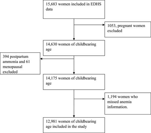 Figure 1 Flow diagram of exclusion of women of childbearing age to the study.