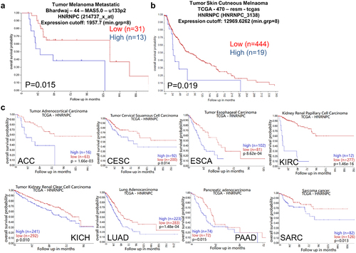 Figure 1. Correlation of increased patients’ overall survival with reduced hnRNP C expression in different cancer types including melanoma.