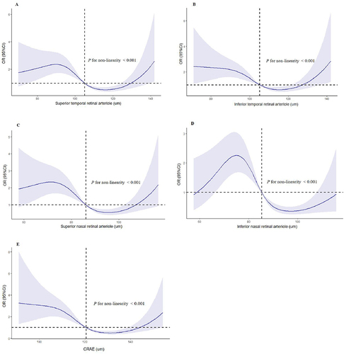 Figure 3 Restricted cubic splines for the association between retinal arteriolar diameters and DKD. OR of DKD by the diameters of superior temporal retinal arteriole (A), inferior temporal retinal arteriole (B), superior nasal retinal arteriole (C), inferior nasal retinal arteriole (D) and CRAE (E) with the use of restricted cubic splines. The analysis was adjusted for duration of T2DM, hypertension, SBP, DBP, BMI, TG, HDL-C, BUN, Scr and UA.