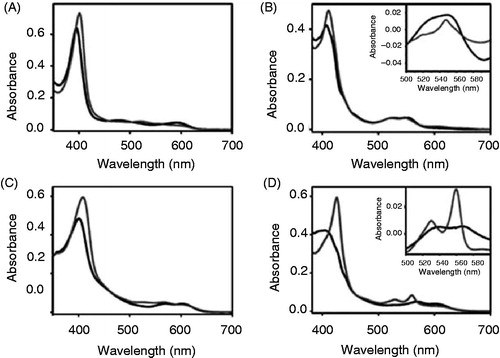 Figure 6. Apo-cytochrome b6 binds porphyrins with modified side chains. Absorbance spectra of Fe-deuteroporphyrin IX (A, B) as well as of Fe-protoporphyrin IX dimethylester (C, D) were recorded under oxidizing (A, C) and reducing (B, D) conditions. The spectrum of free porphyrin (dark grey) is compared to the spectrum of the porphyrin after addition of 150 μg apo-cytochrome b6 (grey). The insets in (B) and (D) are redox difference spectra.