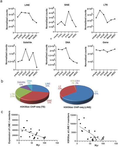 Figure 7. H3K56ac is enriched at transposable element (TE). (a) Expression patterns of different TE including LINE, SINE, LTR, Satellite, DNA are distinct and dynamic during human preimplantation development, while expression of non-TE genes is quite consistent. (b) Distribution of H3K56ac reads at different TE (left panel) and LINE subfamilies (right panel) in human ESCs. (c) Evolutionary younger LINE-1 members had higher expression level (left panel) and higher H3K56ac enrichment (right panel) in human ESCs. Myr, million years.