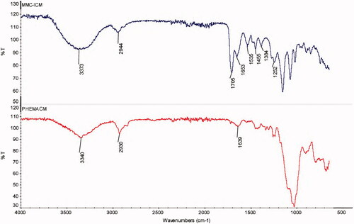 Figure 2. FTIR-ATR spectra of MMC-ICM and PHEMACM.