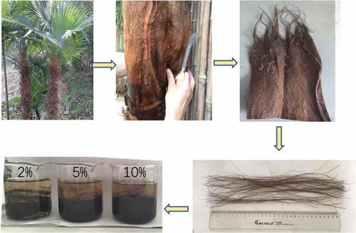Figure 1. The preparation process for palm fibers.