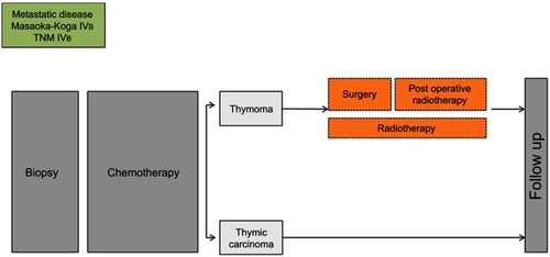 Figure 4 RYTHMIC recommendation for metastatic disease TNM IVb and Masaoka-Koga IVb.