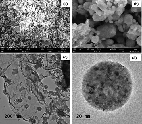 Figure 1. SEM and TEM microstructure of nano-Fe/Ca/CaO at different magnifications: (a) nFe/Ca/CaO at 1,000× magnification and (b) nFe/Ca/CaO at 10,000× magnification, (c) TEM analysis of single particle at 200nm, and (d) TEM analysis of single particle at 20 nm.