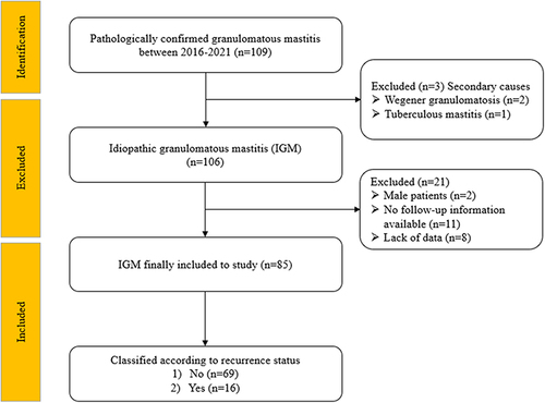 Figure 1 The study flow diagram for selection of patients.