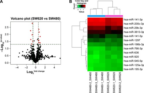 Figure 4 Significantly differentially expressed miRNAs in SW620 cells compared with SW480 cells. (A) Volcano plot: 13 red points represent the 13 significantly differentially expressed miRNAs according to fold change >1.5 and p<0.05. (B) Heatmap and hierarchical clustering of 13 significantly differentially expressed miRNAs.