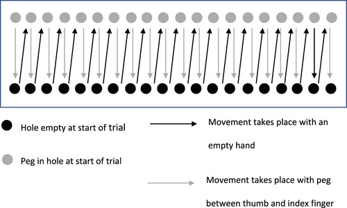 Figure 3. Illustration of the Sequence of Movements for the Pegboard Task on Left Hand Trials.Note. The figure shows the initial sequence of movements required, moving pegs from top to bottom (starting with the leftmost peg). Following the sequence shown, the task continues with the aim of moving pegs from bottom to top (starting with the rightmost peg).