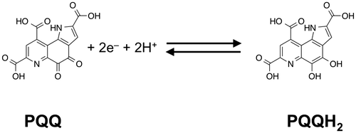 Fig. 1. Structure and redox reaction of pyrroloquinoline quinone (PQQ).