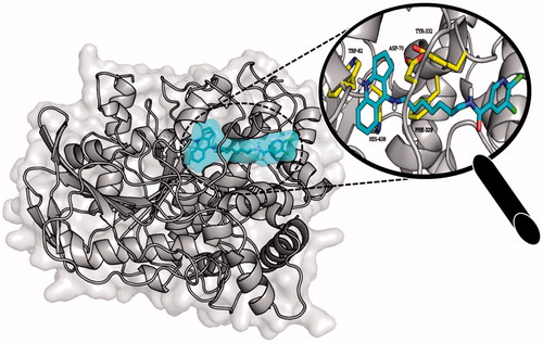 Figure 7. Binding mode of compound 3f within the active site of BuChE.