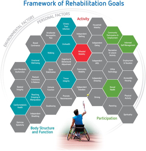 Figure 1 Framework of rehabilitation goals.