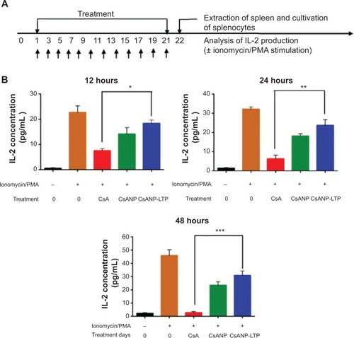 Figure 5 Effect of CsA formulations on IL-2 production.Notes: (A) BALB/c mice were treated intravenously with PBS (control), free CsA, CsANP, or CsANP-LTP every other day for a period of 21 days. (B) Splenocytes were isolated and cultured for different time intervals under unstimulated or stimulated conditions. The data are shown as mean ± SD. *P<0.05, **P<0.01, ***P<0.001.Abbreviations: CsA, cyclosporine A; CsANP, cyclosporine A nanoparticles; CsANP-LTP, CsANP conjugated with liver-targeting peptide; PBS, phosphate-buffered saline; PMA, phorbol 12-myristate 13-acetate; SD, standard deviation.