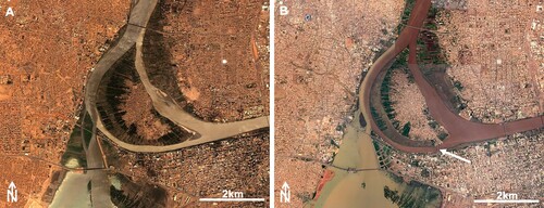 Figure 3. Google Earth™ satellite imageries of the Tuti Island in (A) 2003 and (B) 2019 showing the urban expansion and reduction of cultivated land on the island after the building of the bridge (indicated by the arrow).