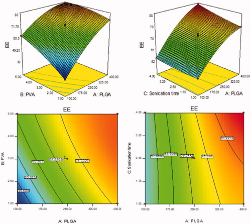 Figure 2. Effect of formulation independent variables [(PLGA (A), PVA (B), ST (C)] on encapsulation efficiency (Y2).