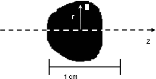 Figure 2. A black and white version of the nanoparticles distribution for an infusion flow rate of 1.25 µl/min and a gel concentration of 4%.