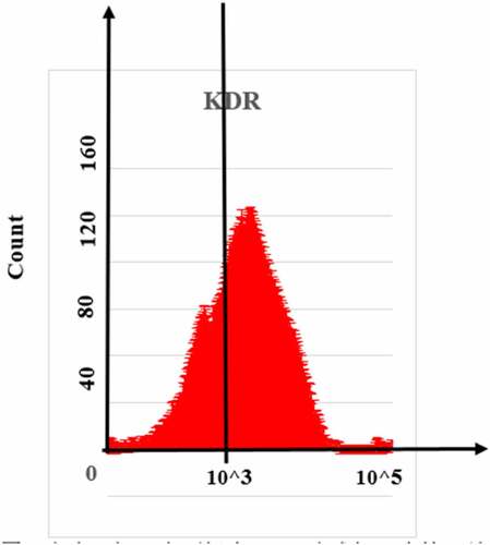 Figure 6. Flow cytometry detection result of EPCs surface marker KDR.