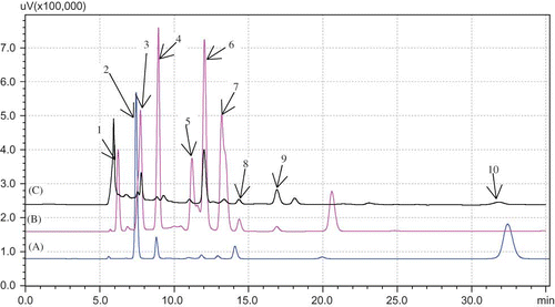 Figure 1 Chromatogram of: (A), (B) standard mixture; (C) Surk cheese sample. Peaks: (1) oxalic acid; (2) orotic acid; (3) citric acid; (4) pyruvic acid; (5) uric acid; (6) lactic acid; (7) formic acid; (8) acetic acid; (9) propionic acid; (10) hippuric acid.