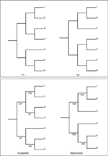 Fig. 2. Second example of the behaviour of RNR: sensitivity. The alternative tree topologies (T1 & T2) differ only in the position of a rogue (X). The lower panel shows the plenary and a reduced majority-rule consensus for a set of 67 copies of T1 and 33 copies of T2. ΣS is higher (401) for the plenary than for the reduced (400) consensus and thus RNR does not identify X as a rogue. If instead there are 66 copies of T1 and 34 of T2 then ΣS is lower (398) for the plenary consensus and RNR identifies X as a rogue.