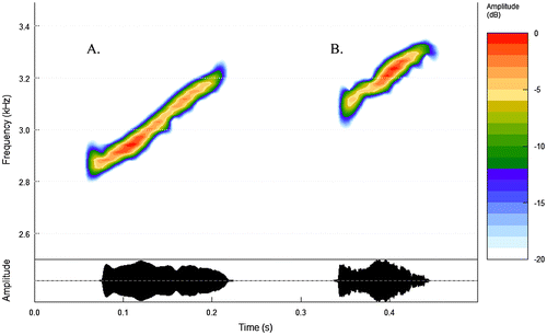 Figure 4. Spectrogram and oscillogram of the advertisement call of (A) Diasporus citrinobapheus and (B) D. tigrillo.
