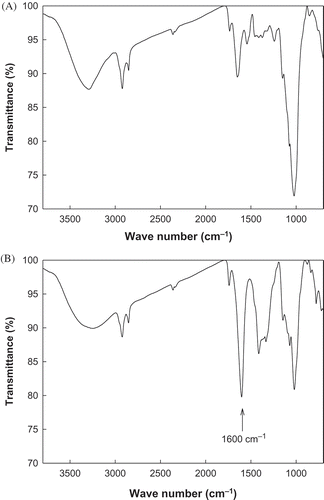 FIGURE 4 FT-IR spectra of the native and selectively oxidized rice bran by TEMPO/NaOCl-mediated oxidation. (a) Native rice bran; (b) selectively oxidized rice bran.