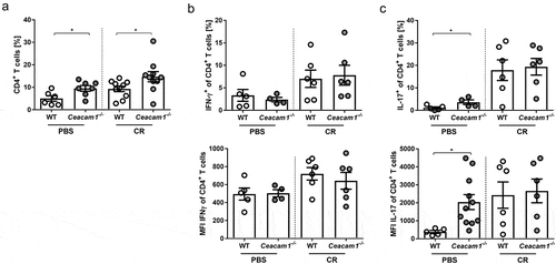 Figure 3. CD4+ T cell activation in the lamina propria of Ceacam1−/− mice is not altered. Ceacam1−/− and WT mice were orally infected with ~ 2 × 109 CFU of C. rodentium or gavaged with PBS. At day 10 post infection, lamina propria cells of the colon were isolated and characterized by flow cytometry. (a) Percentage and MFI of living CD4+ T cells, (b) Th1 (IFN-γ) and (c) Th17 (IL-17) cells. All data are presented as mean ± SEM. Statistics were performed using the Student’s t-test (*, p < .05; **, p < .01; ***, p < .001).