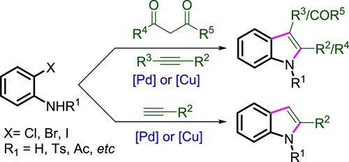 Scheme 1. Pd- or Cu-catalyzed indole synthesis from 2-haloanilines and terminal/internal alkynes or 1,3-dicarbonyl compounds.