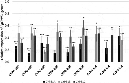 Figure 2. Silencing of FgCYP51 genes of infected transgenic Arabidopsis leaves. Gene-specific expression of FgCYP51A, FgCYP51B, and FgCYP51C was measured by qRT-PCR and normalized to fungal EF1-α (FGSG_08811) as a reference gene. cDNA was generated after total RNA extraction from infected leaves at 5 dpi. The reduction in CYP51 gene expression in the Fg-inoculated dsRNA-expressing leaves compared with the wt control was statistically significant. Error bars represent SE of four independent experiments each using 15 leaves of 10 different plants for each transgenic line. Asterisks indicate statistical significance (*p < 0.05; **p < 0.01; ***p < 0.001; Student’s t test).