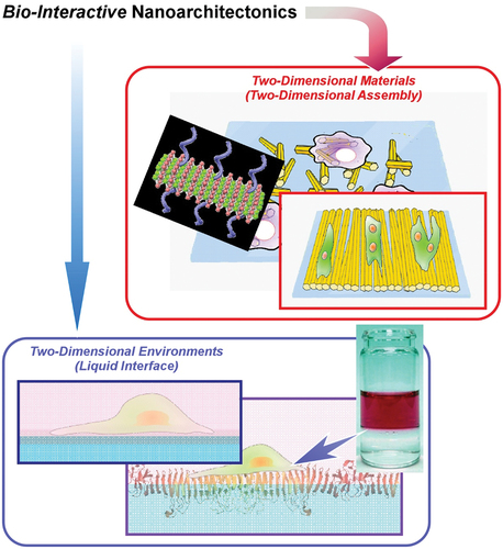 Figure 2. Objectives of this review article: bio-interactive nanoarchitectonics with two-dimensional materials and/or at two-dimensional environments.