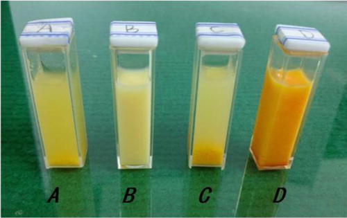 Figure 1. The mixture of the reactants (A) without surfactant; (B) with SDBS; (C) without surfactant after 2 h; (D) with SDBS after 2 h.