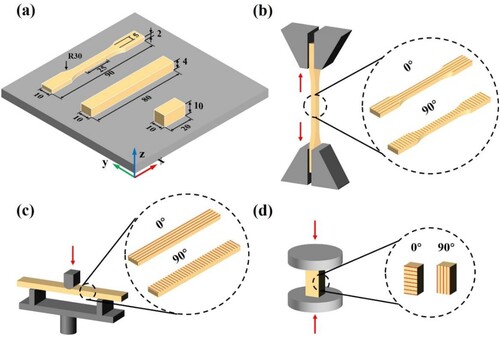 Figure 2. Schematic diagrams of the specimens: (a) tensile, flexural, and compression specimen dimensions, (b) tensile experiment, (c) flexural experiment, and (d) compression experiment.