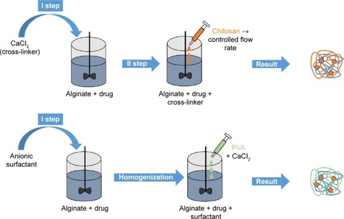 Figure 8 Production of hydrogel nanospheres, based on natural polymers.Notes: To an aqueous solution of alginate and drug, a cross-linker or an anionic surfactant can be added. In the first case, chitosan is added at a controlled flow rate to the solution; in the second one it is added to it polyvinyl alcohol (PVA) and a cross-linker. In both cases, the result is an interpenetrated hydrogel structure embedding the local anesthetic.