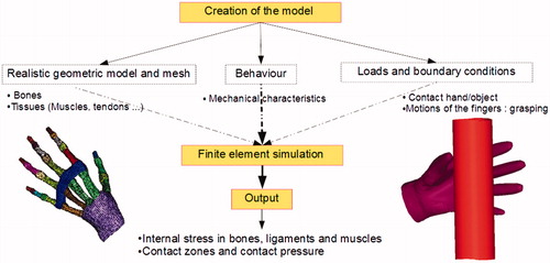 Figure 1. Flow chart of the creation of the grasping finite element model.