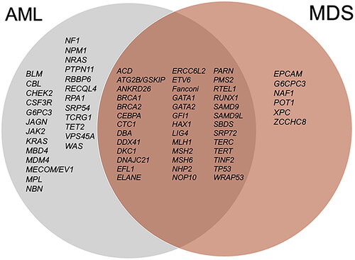 Figure 3. Overlap and mutual exclusivity of genes included on clinical guidelines for HHM. Shown in the Venn diagram, genes recommended for evaluation of AML and MDS are depicted to assess overlap or exclusivity. ‘Fanconi’ refers to the full spectrum of Fanconi anemia genes. ‘DBA’ refers to the full spectrum of Diamond Blackfan anemia genes.