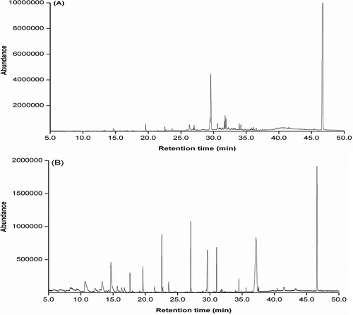 FIGURE 3 Chromatogram and mass spectra of the GZ01 sample using different extraction fibers ((A): PDMS; (B): [PDMS–CAR–DVB]).