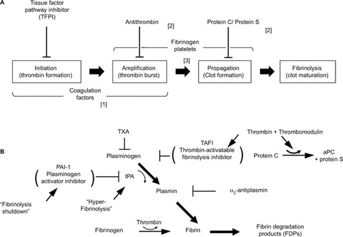 Figure 1 Normal hemostasis involves both coagulation and fibrinolysis regulated by several physiologic inhibitors. (A) Phases of a cell-based model of coagulation include “initiation” that occurs after exposure of TF in the presence of VIIa, a small amount of which is normally present in the circulation, followed by “priming” in which FXa produces a small amount of thrombin to activate FVIII, FV; and platelets, resulting in “propagation”, involving assembly of activated coagulation factors on aggregating platelets to produce a thrombin burst on the surface of platelets that mediate conversion of fibrinogen to fibrin. Three endogenous anticoagulation systems modulate coagulation to prevent clot formation in excess (thrombosis) beyond the site of injury. These are predominately localized to expression on vascular endothelial surfaces. Trauma-associated coagulopathy is related to excess thrombomodulin (TM) expression resulting in high concentrations of activated protein C (aPC) and possibly to disruption of the endothelial glycocalyx with release of heparin-like proteoglycans that interact with antithrombin in a process referred to as auto-heparinization. A role for TFPI in trauma-associated coagulopathy has not been identified; however, experimentally, depletion of TFPI predisposes to disseminated intravascular coagulation, which has been suggested to be a mechanism of coagulopathy following trauma. (B) Fibrinolytic pathway and endogenous mediators that regulate fibrinolysis. Plasmin is generated from plasminogen by tPA and is controlled by several inhibitors, principally PAI-1. Upregulation of TM and thrombin–TM interactions increases thrombin-mediated activation of TAFI 1,000-fold; elevated levels of aPC may promote fibrinolysis by limiting thrombin production and consequently TAFI activation. Hyperfibrinolysis associated with trauma is thought to occur after endothelial cell perturbation following injury with trauma-induced release of large amounts of tPA in association with downregulation of PAI-1. Fibrinolysis shutdown is thought to occur through trauma-mediated dysregulation of PA-1 expression.