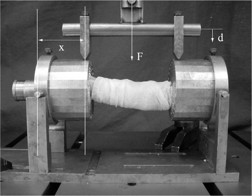 Figure 1. The 4-point bending device. The force (F) was applied with a cross-head speed of 1 mm/min. The applied load (F) and the vertical displacement (d) were recorded online by the Instron machine. The angular displacement was calculated by dividing the cotangent of the vertical displacement (d) by the length of the lever arm (x = 43 mm). The bending moment was calculated by multiplying half of the applied load by the length of the lever arm.