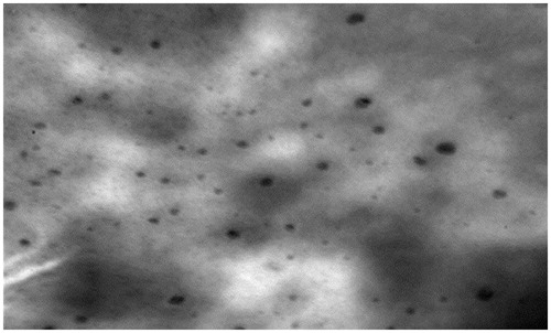 Figure 10. The TEM image of the optimized solid self-nano emulsifying formulation of lovastatin.