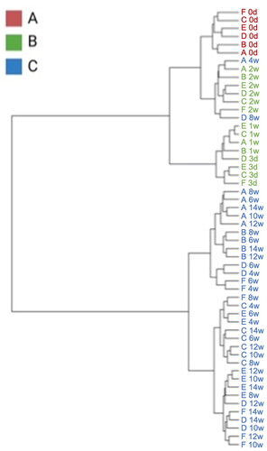 Figure 5. Dendrogram constructed with foals’ gut microbiome over experimental period by ward methods, based on the Unweighted UniFrac Distance index.