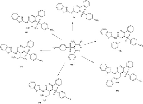 Scheme 3. N-benzoylated benzenesulphonamide derivatives (17a–f).