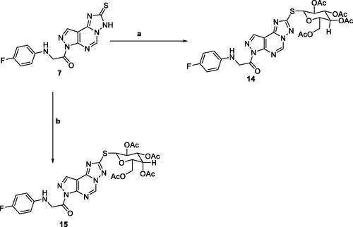 Scheme 3. Reagents and conditions; (a) 2,3,4,6-Tetra-O-acetyl-D-glucopyranosylbromide, KOH, acetone, 25 °C, 6 h. (b) 2,3,4,6-Tetra-O-acetyl-D-glactopyranosylbromide, KOH, acetone, 25 °C, 6 h.