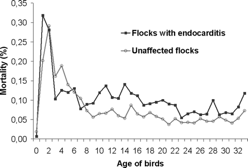 Figure 1. Daily mortality percentage from day 0 to day 33 for flocks A4, K, I2 and E2, diagnosed with endocarditis in 2005, compared to unaffected flocks of the same farms (note the increased mortality of endocarditis flocks between day 9 and 22).