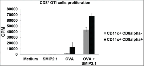 Figure 5. SMIP2.1 increases cross-priming of OT-(I)cells in vitro. CD8α+ CD11c+ and CD8α− CD11c+ DCs were purified by cell sorting from the spleen of C57Bl/6 mice and incubated with medium or OVA (10 μg/ml) alone or in the presence of SMIP2.1 (10 μM) for 4 hours. After washing, DCs were co-cultured with purified OT-I CD8+ T cells for 60 hours and proliferation of CD8+ OTI T cells was measured by 3H thymidine incorporation. Data in the graph indicate counts per min (CPM) and are expressed as mean ± SD of triplicate wells. Values of CPM from each cell population incubated with medium alone were subtracted from values of CPM in all the other conditions.