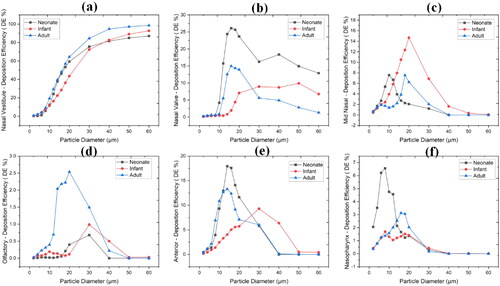 Figure 12. Regional particle deposition (a) vestibule, (b) nasal valve, (c) mid nasal region, (d) olfactory, (e) anterior, and (f) nasopharynx region.
