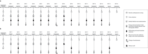 Figure 1. Schematic overview of the study period for the (a) academy and (b) non-academy group.