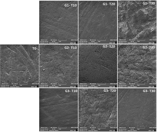 Figure 1 Representative images of treated enamel surfaces according to groups.