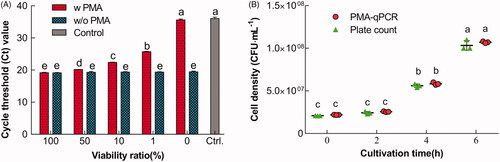 Figure 3. Technical validation of PMA-qPCR in the discrimination of viable L. bulgaricus sp1.1 cells. (A) Discrimination of viable L. bulgaricus sp1.1 cells from viable/nonviable cell mixtures by PMA-qPCR. The cells were treated with PMA (w PMA) or without PMA (w/o PMA). (B) Viable cell density quantified by PMA-qPCR and plate count. Bars or dot plots with different letters indicated significant differences (p<.05).